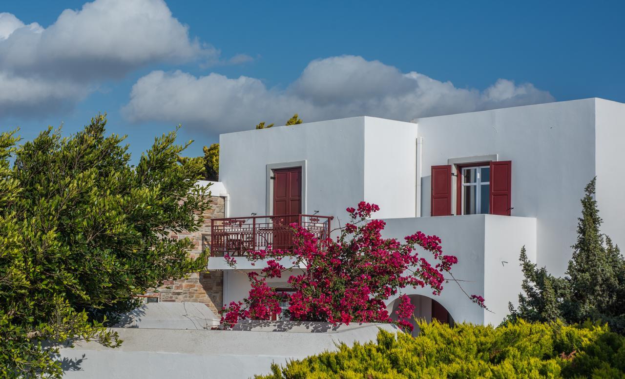 Naxos Palace Hotel Stelida  Exterior photo